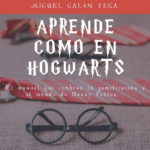 Gamificación – «Aprende como en Hogwarts» – El manual que combina la gamificación y el mundo de Harry Potter.