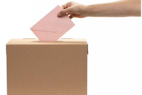 Publicada la fecha para la votación de los Consejos Escolares