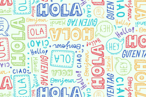 Publicado nuevo Decreto 3/2026 sobre programas bilingües y plurilingües